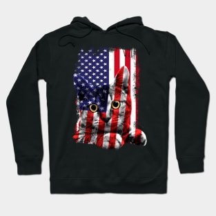 Retro Cat _ American Flag Indepedence Day July 4th Hoodie